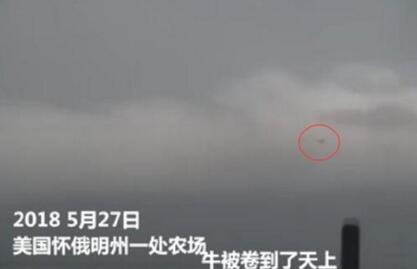 真的“吹牛吹上天”了！實拍農場遭龍卷風襲擊牛被吹上天【視頻】