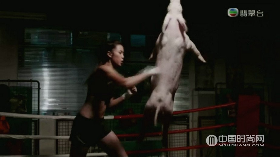 TVB兄弟第4集劇情： 非凡取得監控系統及駭客名單