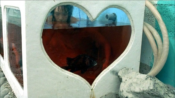 http://m.omega3-ala.com/pics/default/download/04518c4aec1b0478d42f95938c7e54a1.jpg