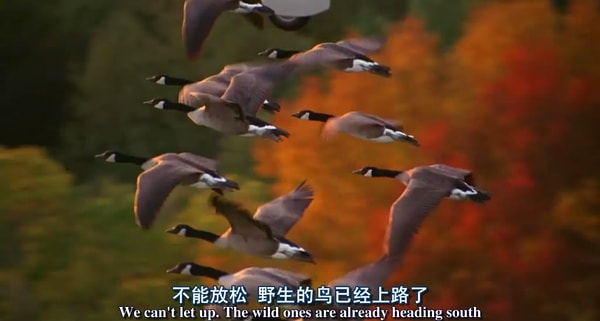 http://m.omega3-ala.com/pics/default/download/04e3f104845a2163796ed64c3f70522f.jpg