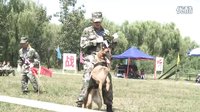 《神犬奇兵》之《步槍成長(zhǎng)篇》