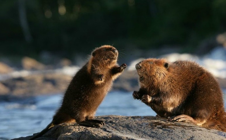 http://m.omega3-ala.com/pics/default/download/071db6a609606e123c99532f2a3e95cc.jpg