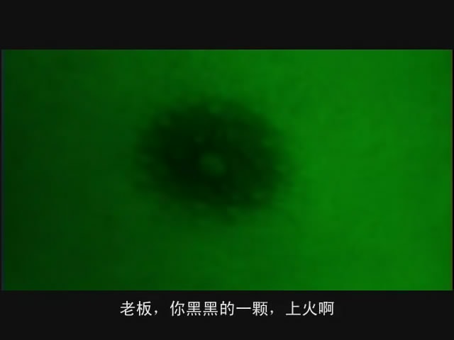 http://m.omega3-ala.com/pics/default/download/08a5820f6014d21275bab4557c9ea49f.jpg