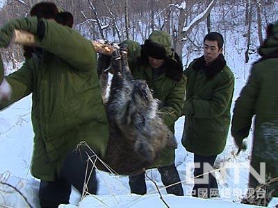 http://m.omega3-ala.com/pics/default/download/0931f2ab38b0338215d2237cbc07569f.jpg
