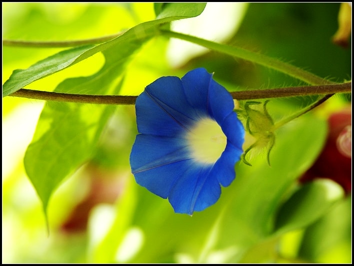 http://m.omega3-ala.com/pics/default/download/097a5d91eec51ea536934c7e31a8b580.jpg