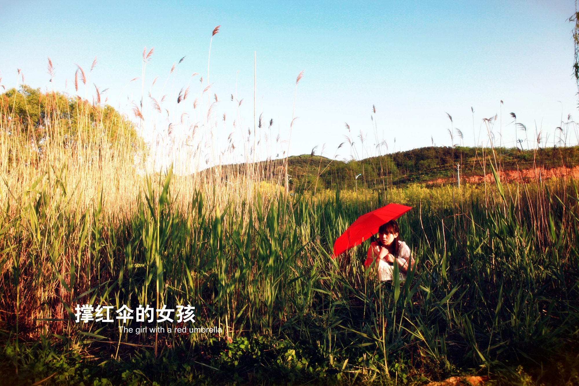 http://m.omega3-ala.com/pics/default/download/0aacc8967cbe49388a4bd7dbcc05ad11.jpg
