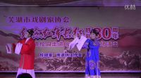越劇聯(lián)唱【天上掉下個(gè)林妹妹】【我家有個(gè)小九妹】【手心手背都是肉】蕪湖市戲劇家協(xié)會(huì)
