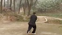 中華武術(shù)展示篇：器械套路之雙锏