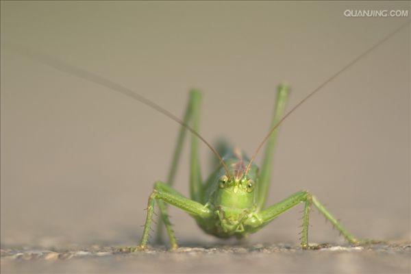 http://m.omega3-ala.com/pics/default/download/0c7c32b5bd12e0cb915d7f0e12c2faf0.jpg