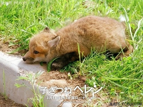 http://m.omega3-ala.com/pics/default/download/0ed07c8e883d4703c13e6a42903b1710.jpg