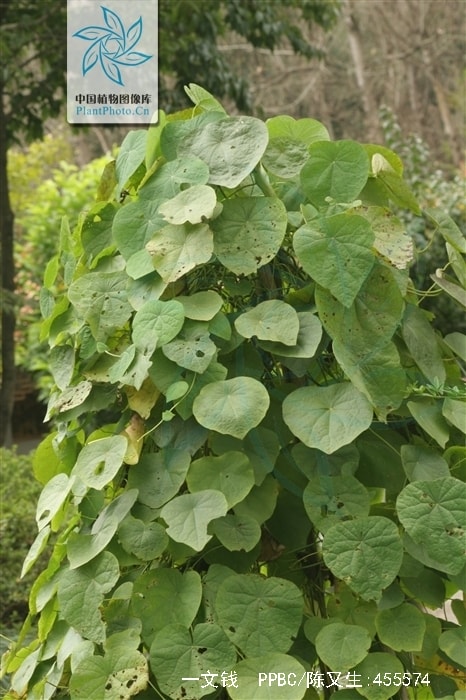 http://m.omega3-ala.com/pics/default/download/108da0f4726d4977a0efba88553794b3.jpg