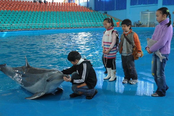 http://m.omega3-ala.com/pics/default/download/136f2cc195c450ccffa8bf2ec66d3ae6.jpg