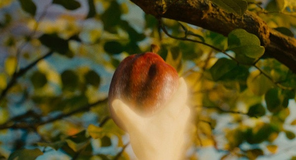 http://m.omega3-ala.com/pics/default/download/1391043914f1f89c86b4b9c9cff595a1.jpg