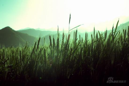 http://m.omega3-ala.com/pics/default/download/13ab9b816c45b53fd9cf74309c799d5a.jpg