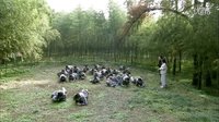 《紅色青橄欖》片花第一彈重磅來(lái)襲