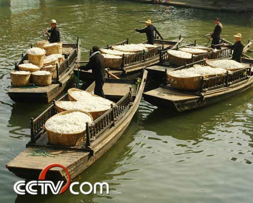 http://m.omega3-ala.com/pics/default/download/19758631e55a4b287ff9cc35a15aa88c.jpg