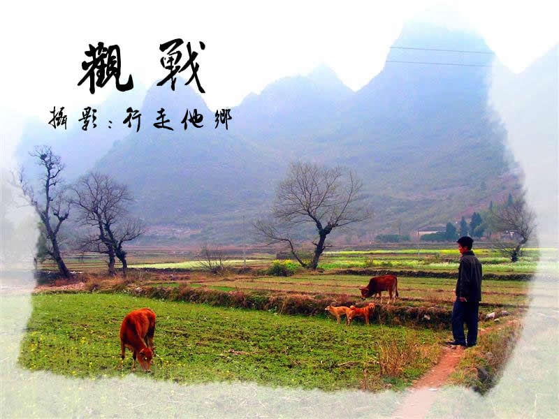 http://m.omega3-ala.com/pics/default/download/1981bc5498cac93e27fec6a408d04859.jpg