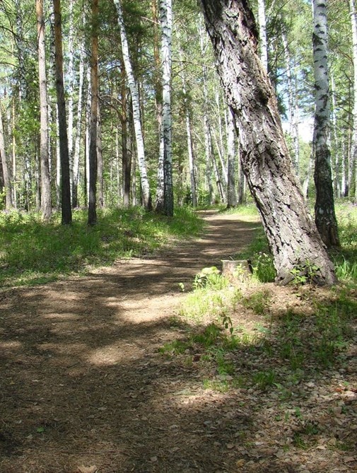 http://m.omega3-ala.com/pics/default/download/1997d1e96c82cfa9ebb9c94cb09ea3a2.jpg