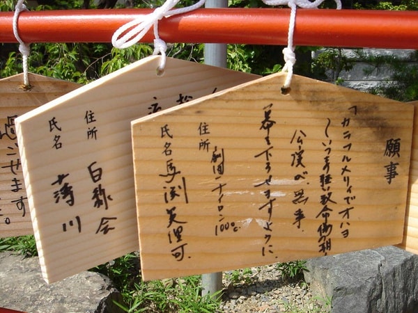 http://m.omega3-ala.com/pics/default/download/1a90492c72e205cb94d8cde5976432ca.jpg