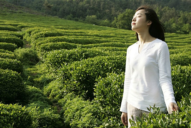 http://m.omega3-ala.com/pics/default/download/1a9ca90b685c070e49f304582b918b9c.jpg