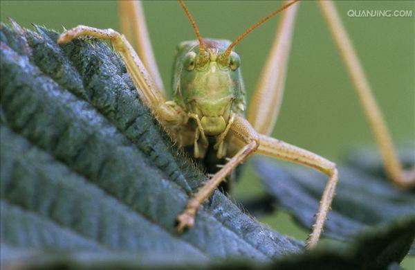 http://m.omega3-ala.com/pics/default/download/1cc106b07bb7f6a405c8adb1fef6ffde.jpg