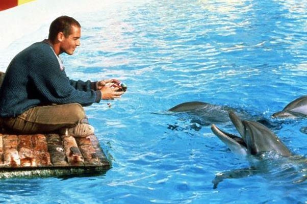 http://m.omega3-ala.com/pics/default/download/1d085192ce4b424a99df3878b44bd9a0.jpg
