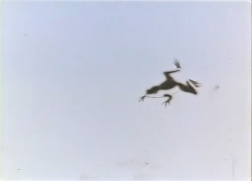 http://m.omega3-ala.com/pics/default/download/1e33a3fce929c40ab35ead4721b78f2b.jpg