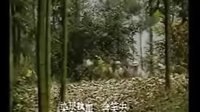 烏龍山剿匪記大結(jié)局清晰版