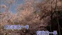 龔玥版《十五的月亮》清澈空靈，和董文華比，另有一番味道！