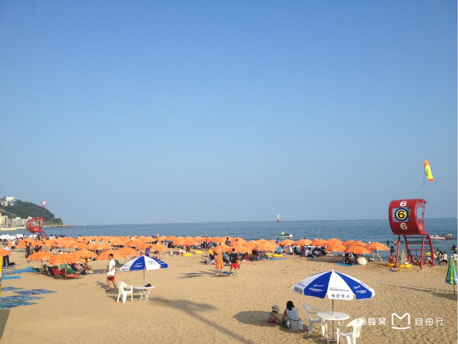 http://m.omega3-ala.com/pics/default/download/1fbb12b6364d8e20c696c1b67a64510c.jpg