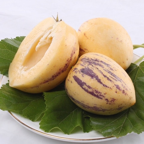 http://m.omega3-ala.com/pics/default/download/2063c6c369753196175b807dcba6cf87.jpg
