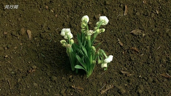 http://m.omega3-ala.com/pics/default/download/20ceca160009dc71073acba587c37598.jpg
