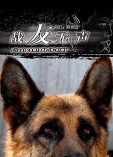 戰(zhàn)友無(wú)聲