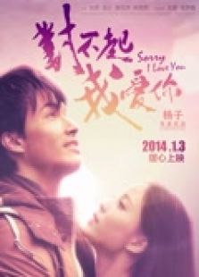 對不起，我愛你 （2014）