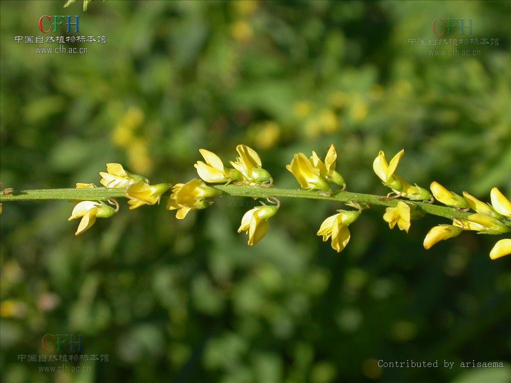 http://m.omega3-ala.com/pics/default/download/23549a921db586252276c0c0f24739f0.jpg