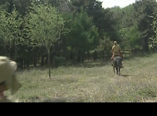 http://m.omega3-ala.com/pics/default/download/2413a2bb47029b1a1f08d629f2da0064.jpg