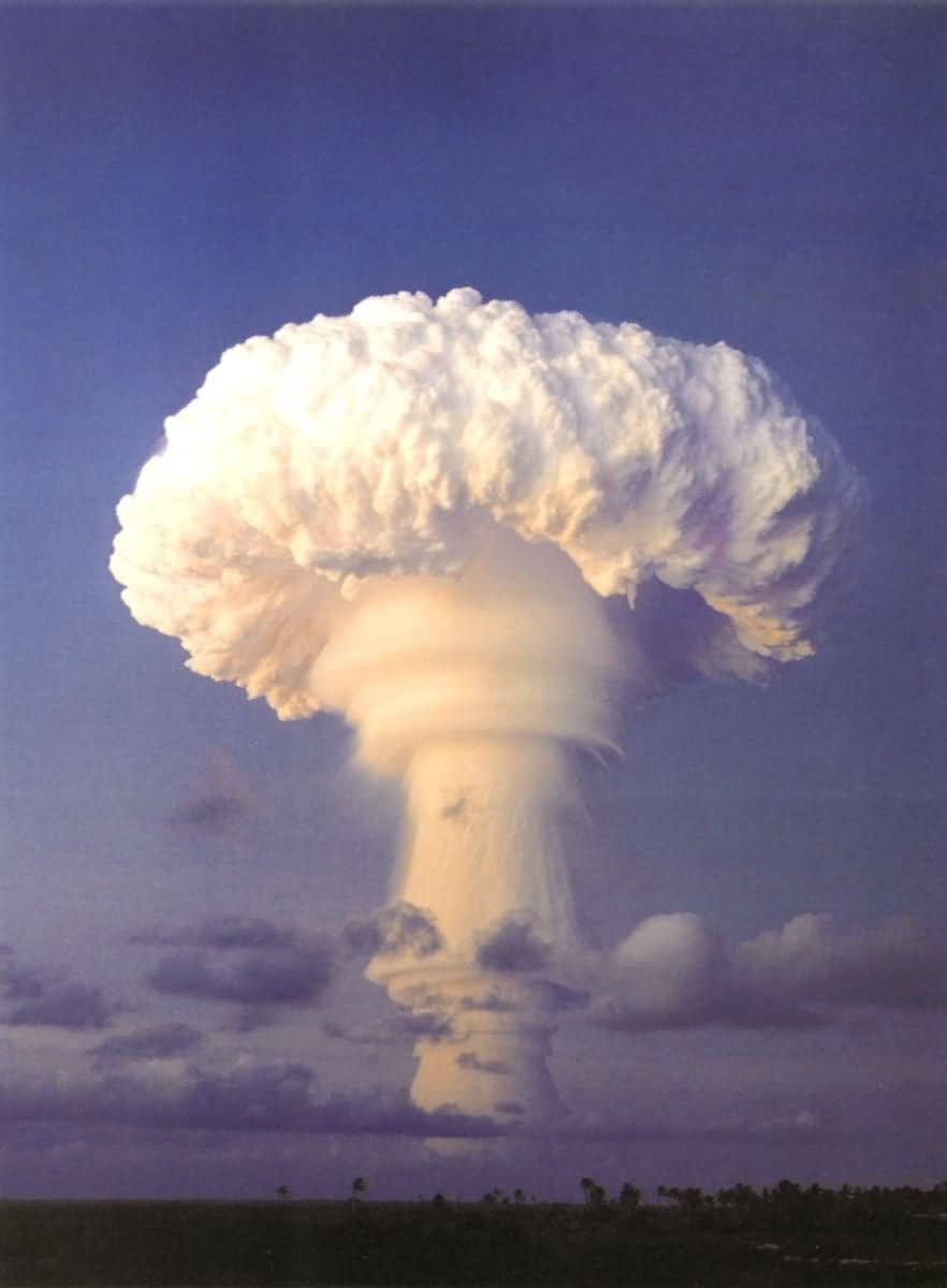 http://m.omega3-ala.com/pics/default/download/24babb800961c9e76c4fb97bdcd700f8.jpg