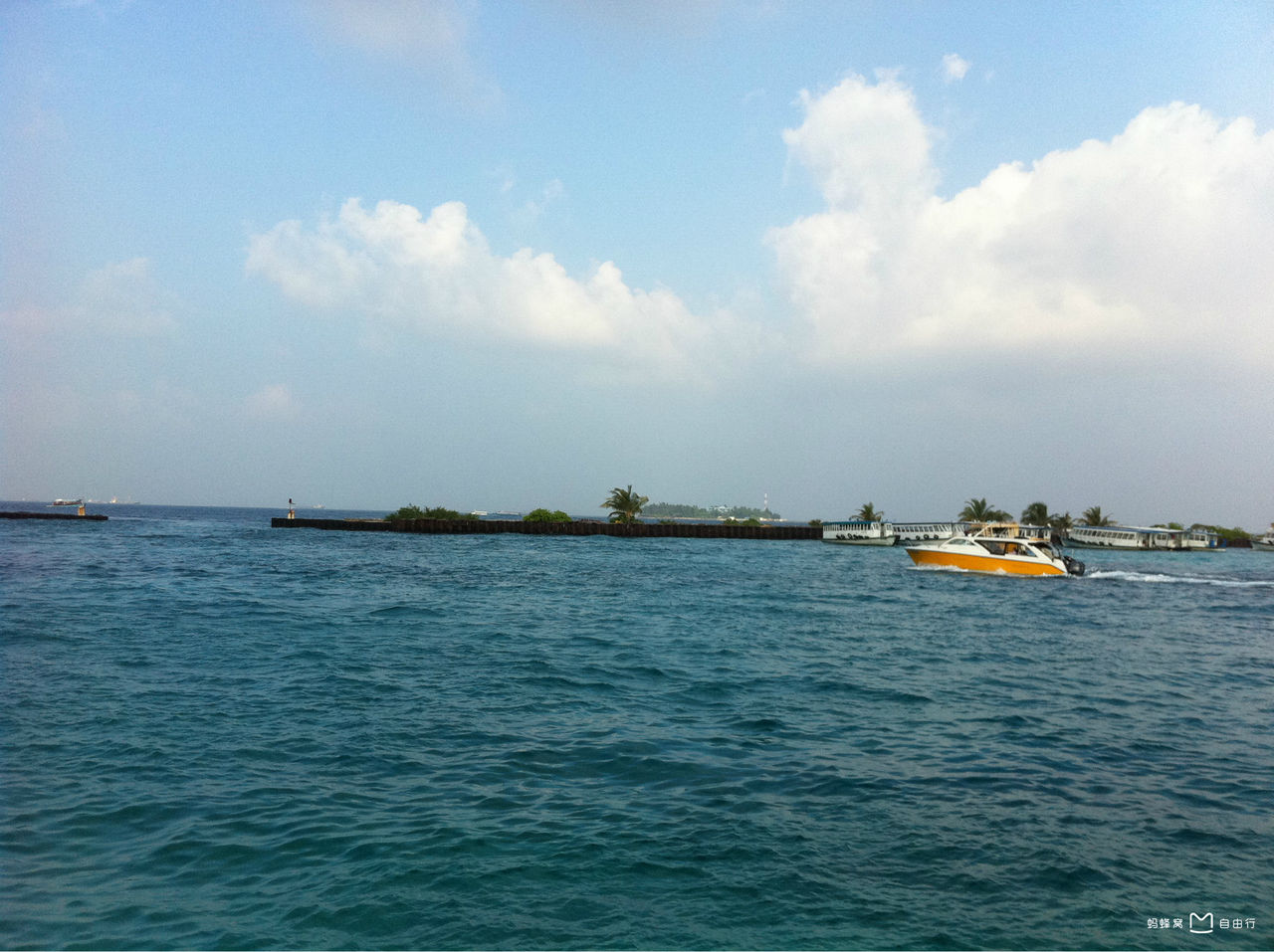 http://m.omega3-ala.com/pics/default/download/25c15050a8d0d60e05112e34d87bda57.jpg