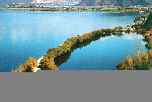 http://m.omega3-ala.com/pics/default/download/25fd6359ad8eae8d2cddeaa127985948.jpg
