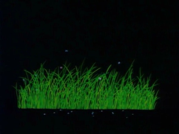 http://m.omega3-ala.com/pics/default/download/2654f1f7f6804ec87f0d20e569d51a1c.jpg