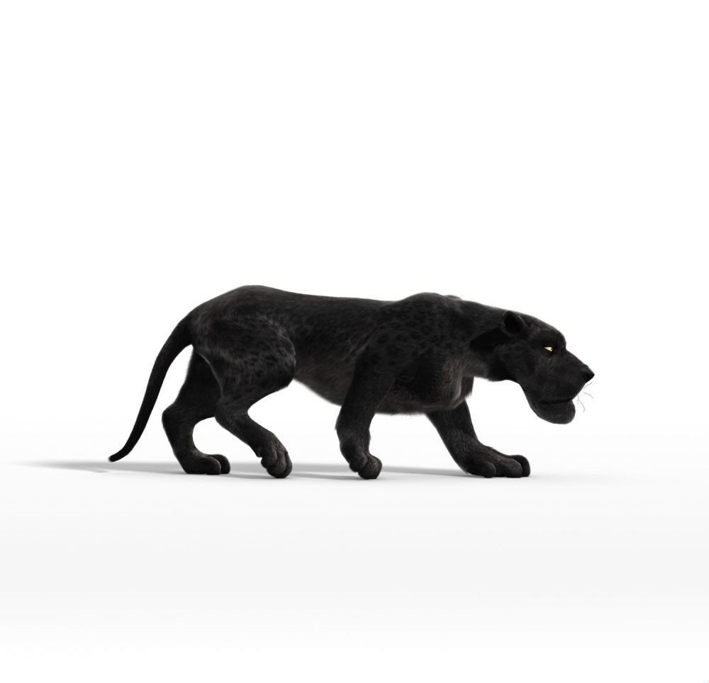 http://m.omega3-ala.com/pics/default/download/26af021474ffadb90707d1955f84f5fa.jpg