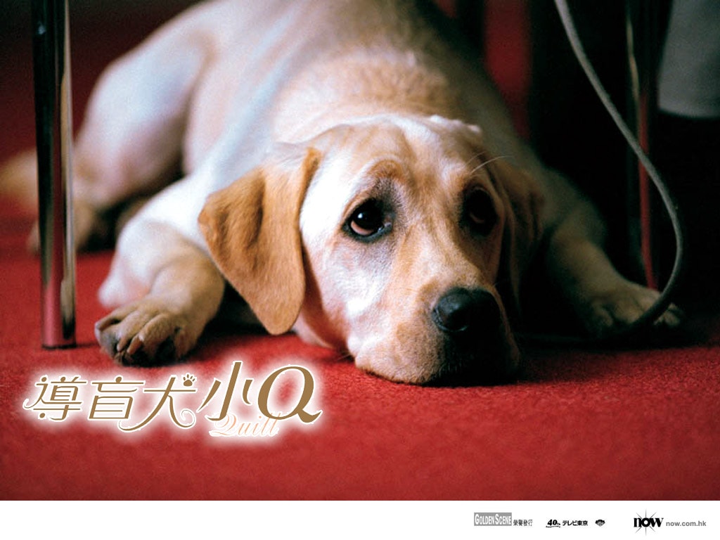 http://m.omega3-ala.com/pics/default/download/26c9fe1bde75b51c71a528329de24f08.jpg