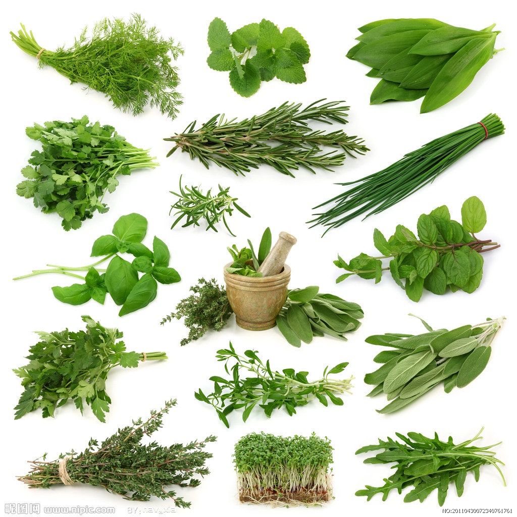 http://m.omega3-ala.com/pics/default/download/29dd25eb8e4a0be973a34e68ec1fd6ea.jpg