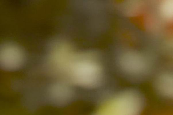 http://m.omega3-ala.com/pics/default/download/2a1bc2021b96b96d2f1a8844e05b8265.jpg