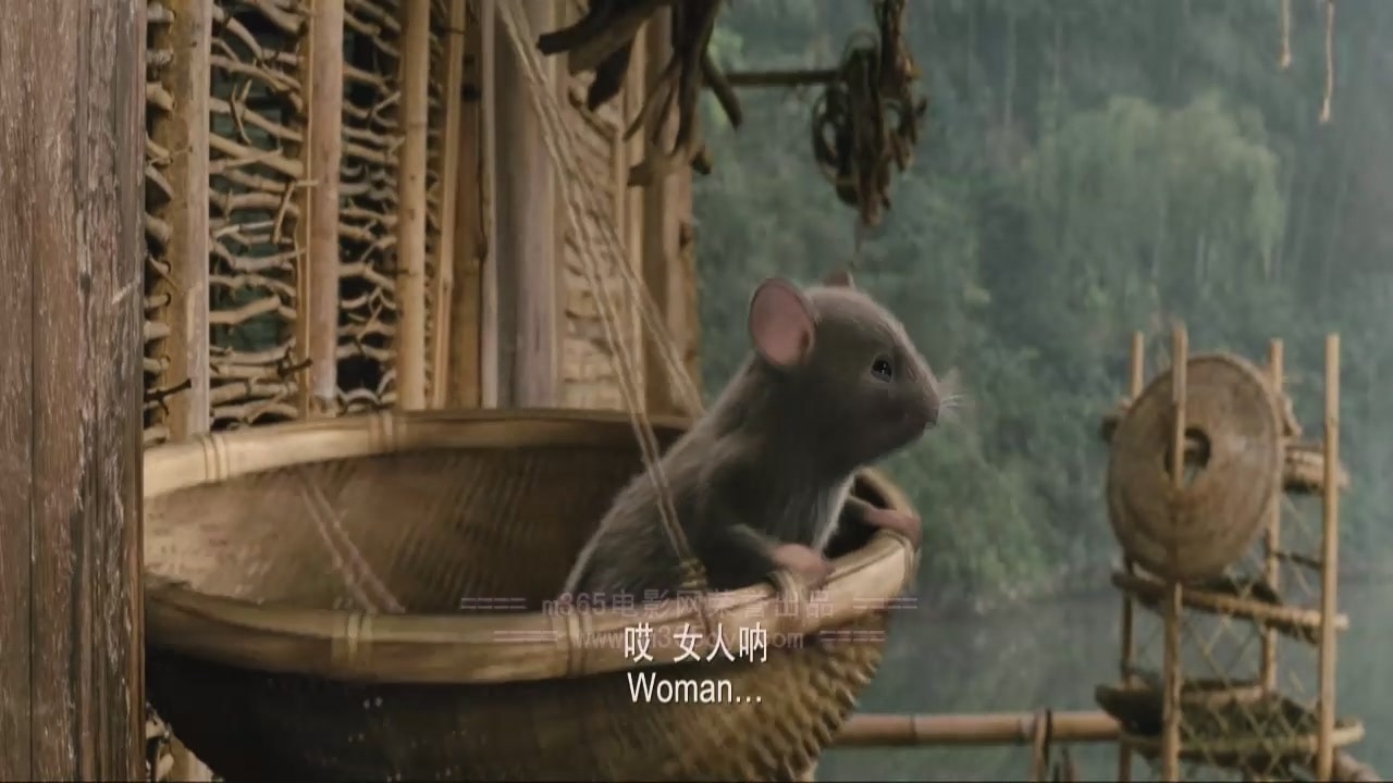 http://m.omega3-ala.com/pics/default/download/2acd4c1903231e81021b29524024983a.jpg