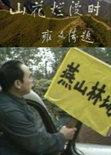 山花爛漫時