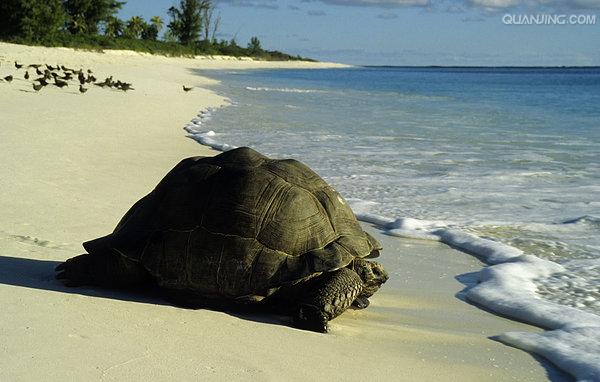 http://m.omega3-ala.com/pics/default/download/2d2c81ac4fe016b245661303e0b0dbd5.jpg