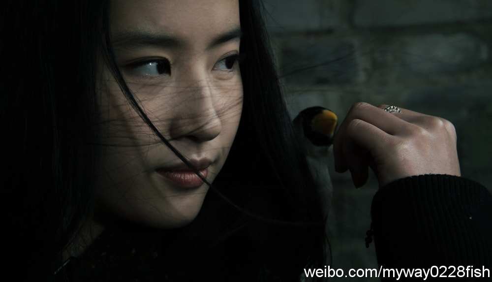 http://m.omega3-ala.com/pics/default/download/2d4f38e64da3401b37faf0533b41400d.jpg