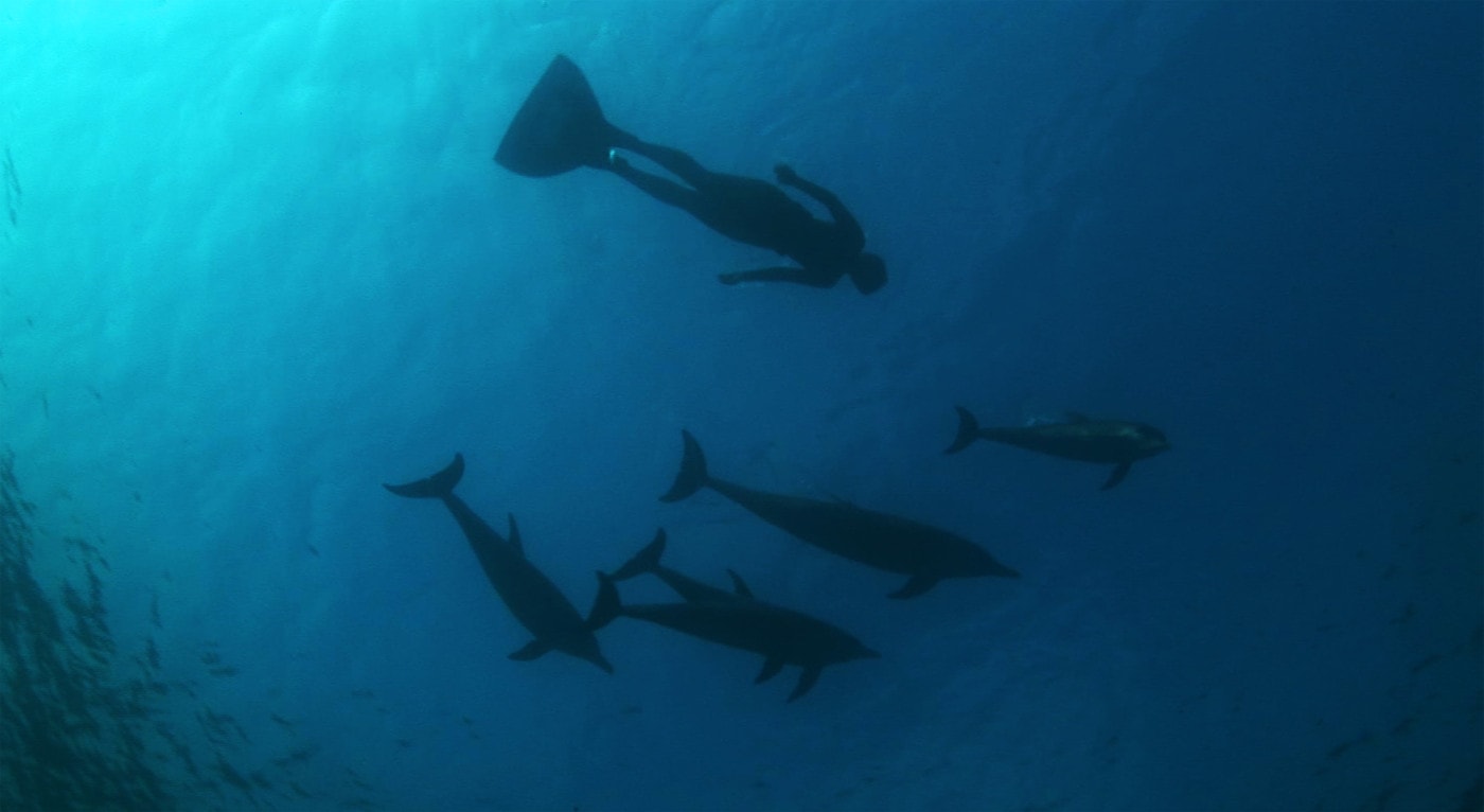 http://m.omega3-ala.com/pics/default/download/2d87d1e5f461db212dc2716dcf9569d9.jpg