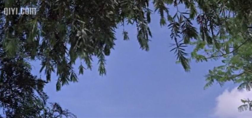 http://m.omega3-ala.com/pics/default/download/2df9173ffd57426e271bdfd5e5b94ff4.jpg